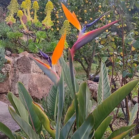 Villa Boheme Costa Brava *