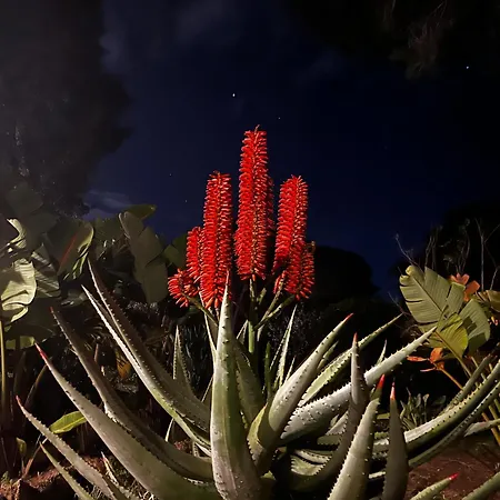 Boheme Costa Brava * Calonge (Catalonia)