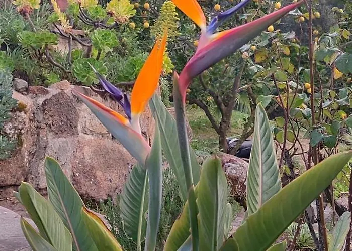 Villa Boheme Costa Brava *