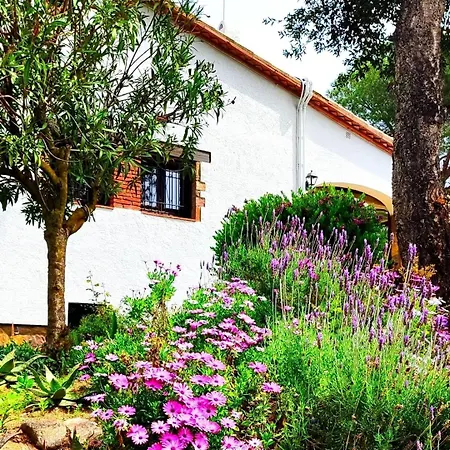 Boheme Costa Brava Vil·la